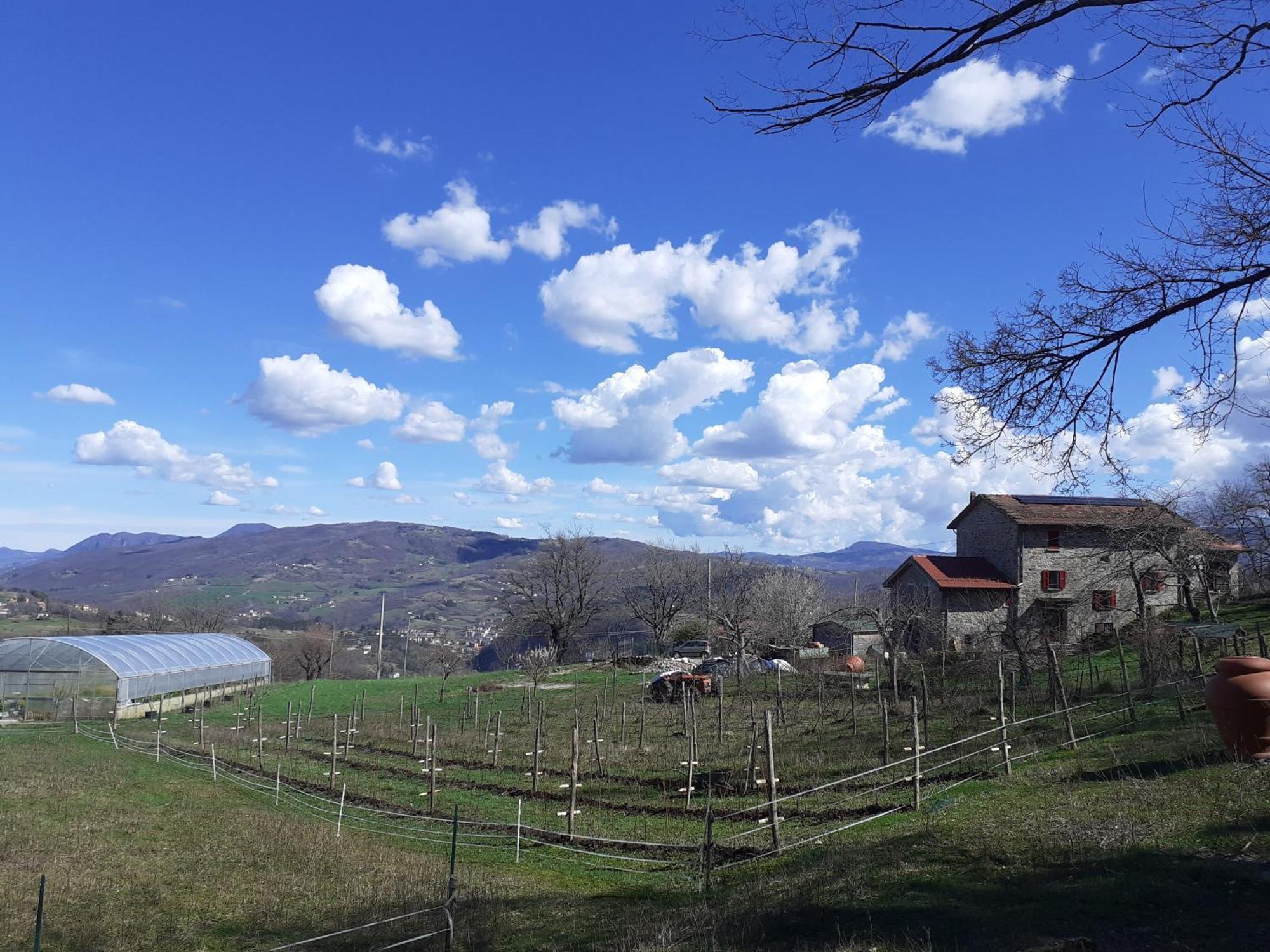 Ca Gennara Agri B&B Porretta Terme Exterior photo
